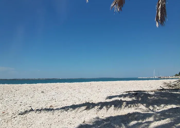 Dikka - Mulo Zadar
