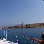 Dikka - Mulo Zadar فرسي