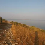 Dikka - Mulo Zadar *