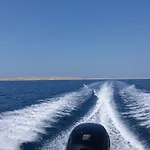 Dikka - Mulo Zadar فرسي
