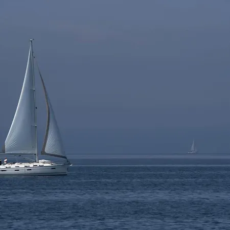 Dikka - Mulo Zadar *