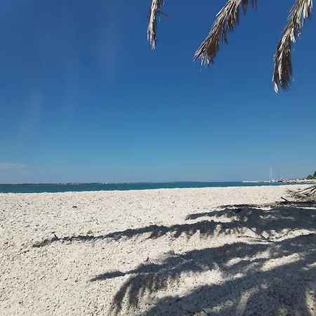 Dikka - Mulo Zadar