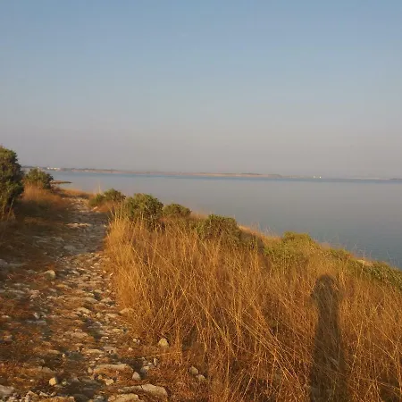 Dikka - Mulo Zadar *