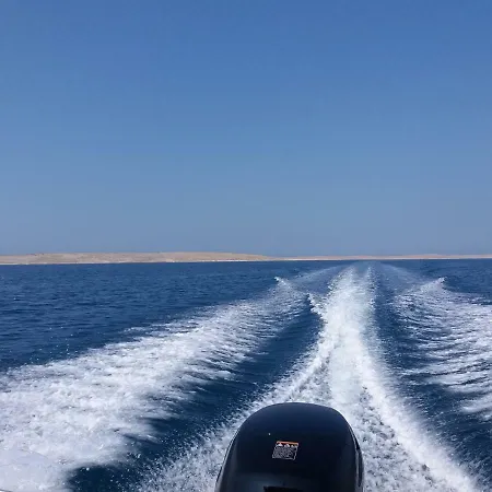 Dikka - Mulo Zadar Vrsi