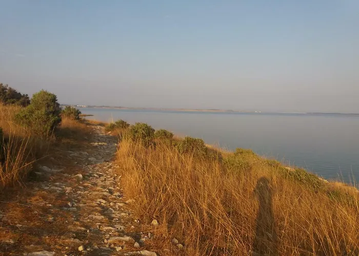 Dikka - Mulo Zadar *