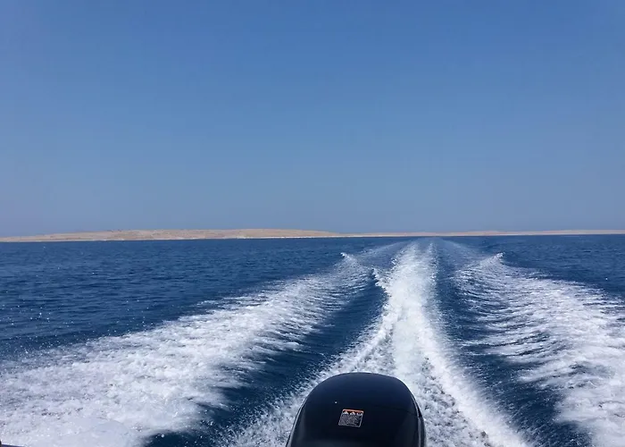 Dikka - Mulo Zadar Vrsi